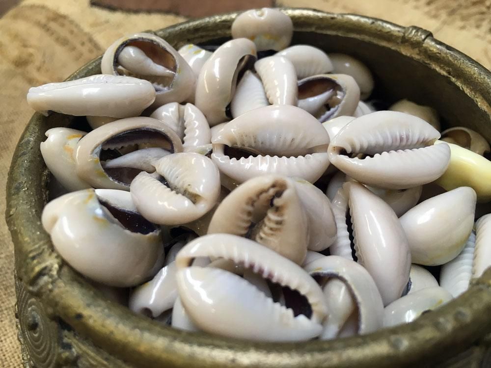 https://alakegallery.com/products/cowrie-shell